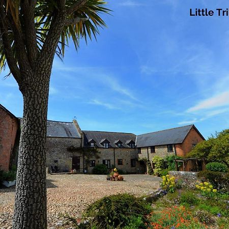 Trill Cottage Musbury Exterior photo