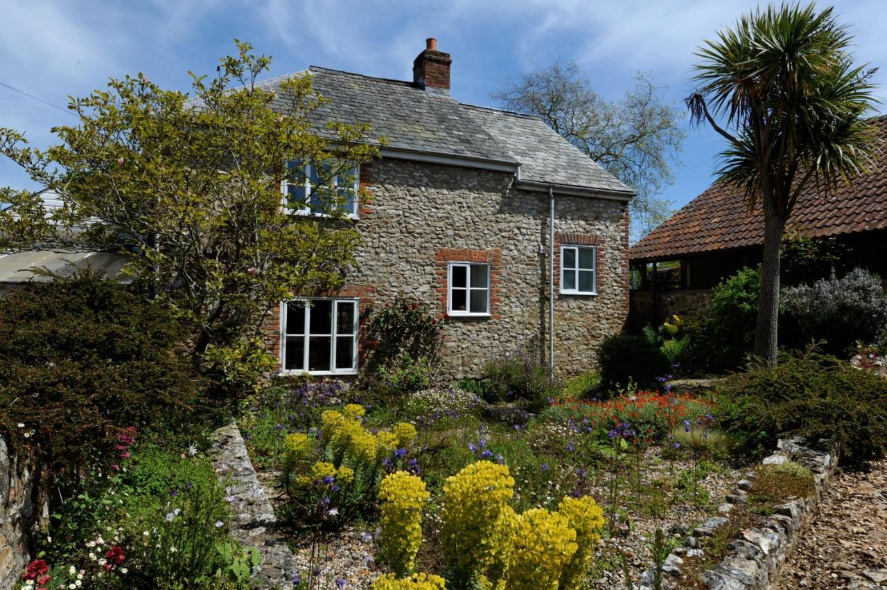 Trill Cottage Musbury Exterior photo